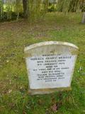 image of grave number 677094